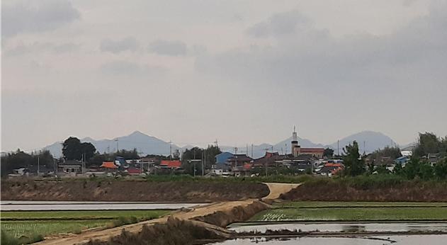 월평3리